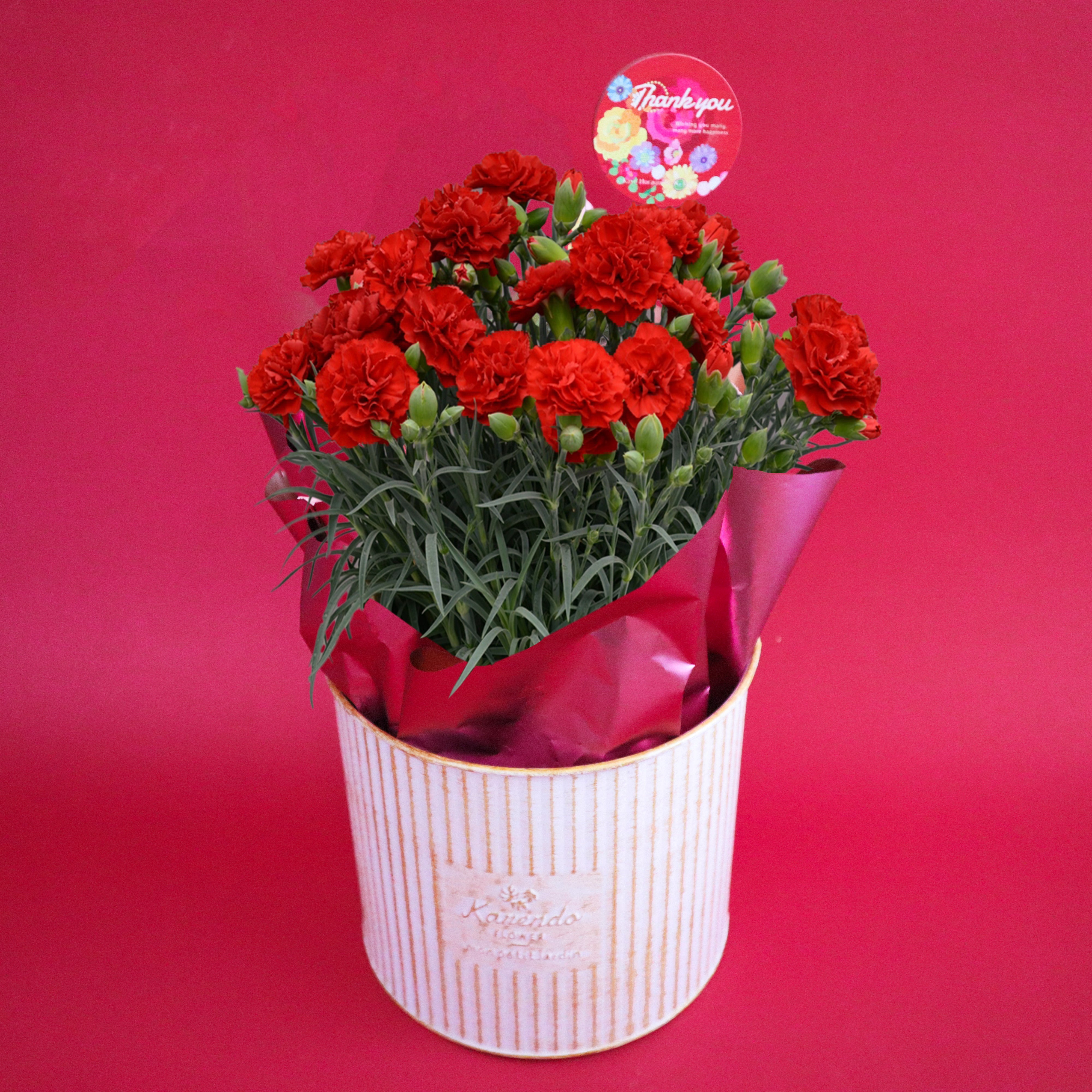 春の色を集めて！シリーズです♪可憐なブルーカルセドニーと薔薇