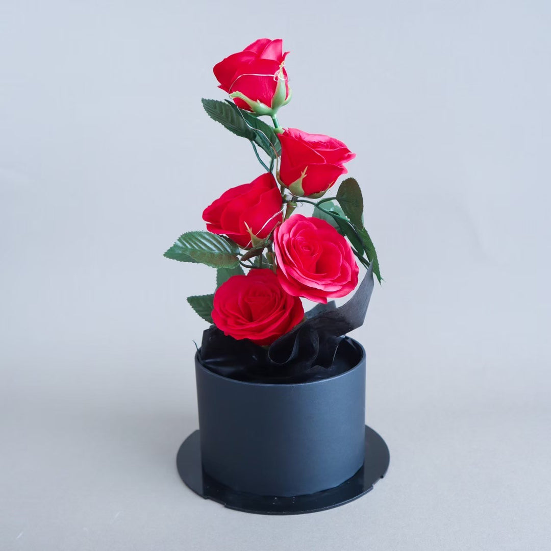 LINE_ALBUM___241108_25_1080x.