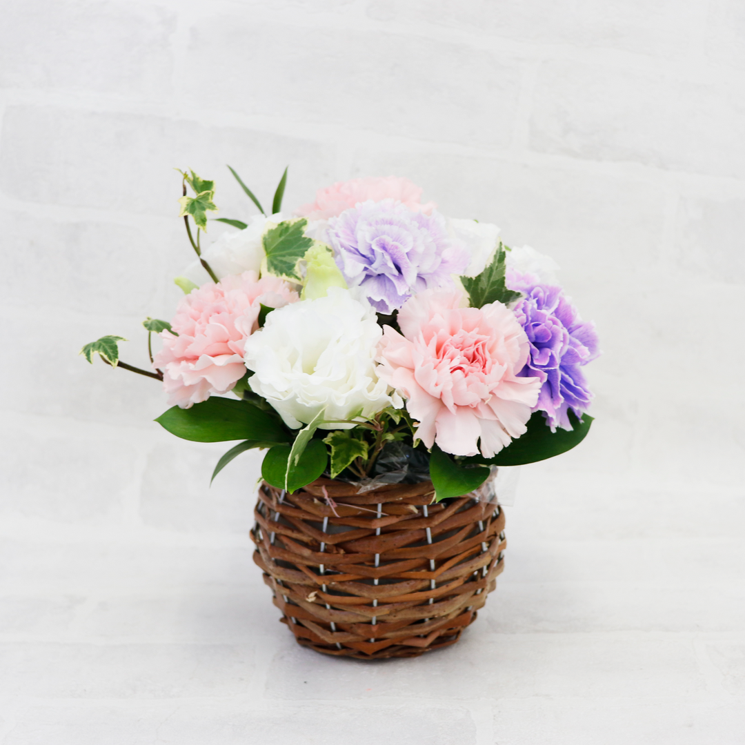 MG_0790s_86661f8b-277b-434e- MG_0790s_86661f8b-277b-434e-