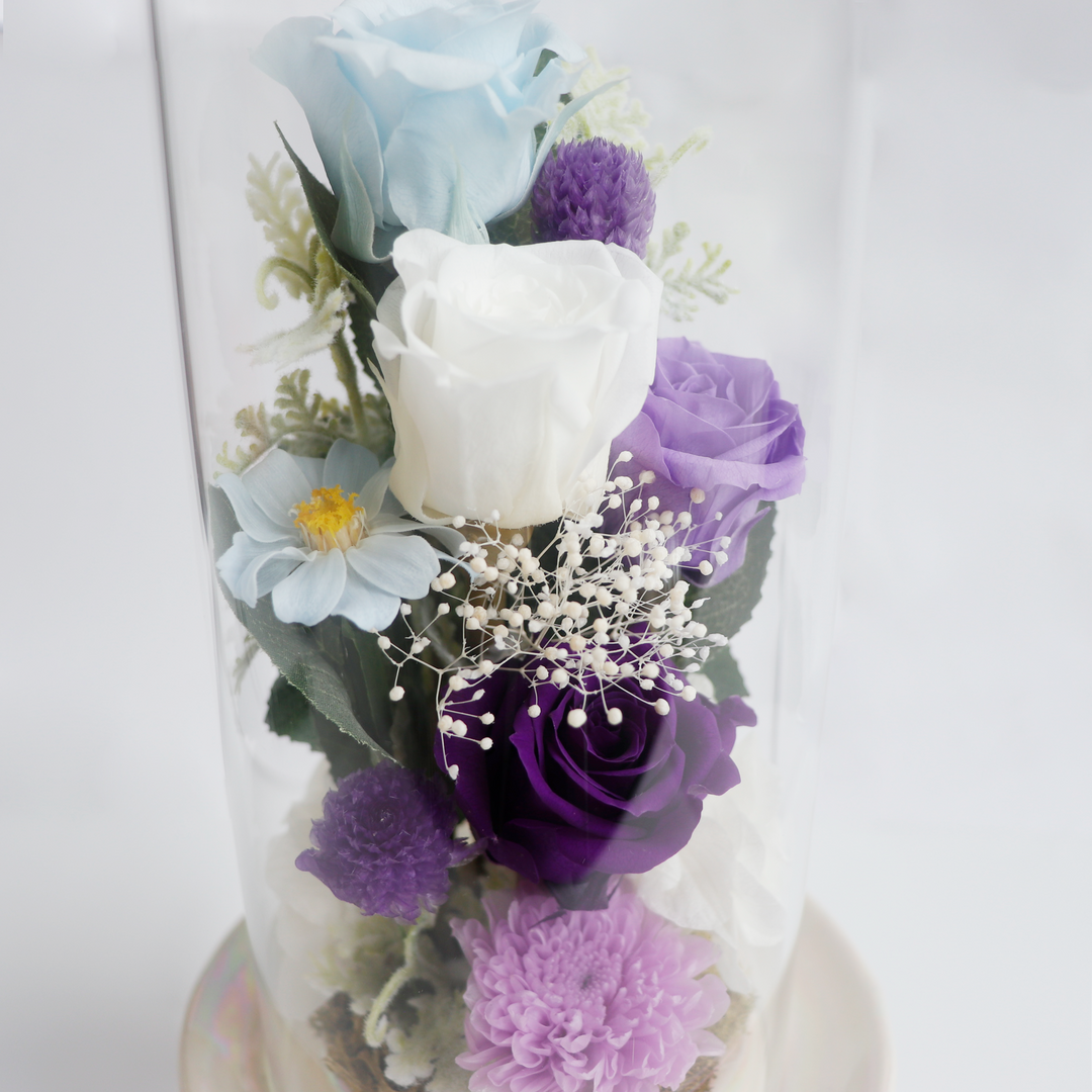 MG_2587s_1080x.png?v=1719214941