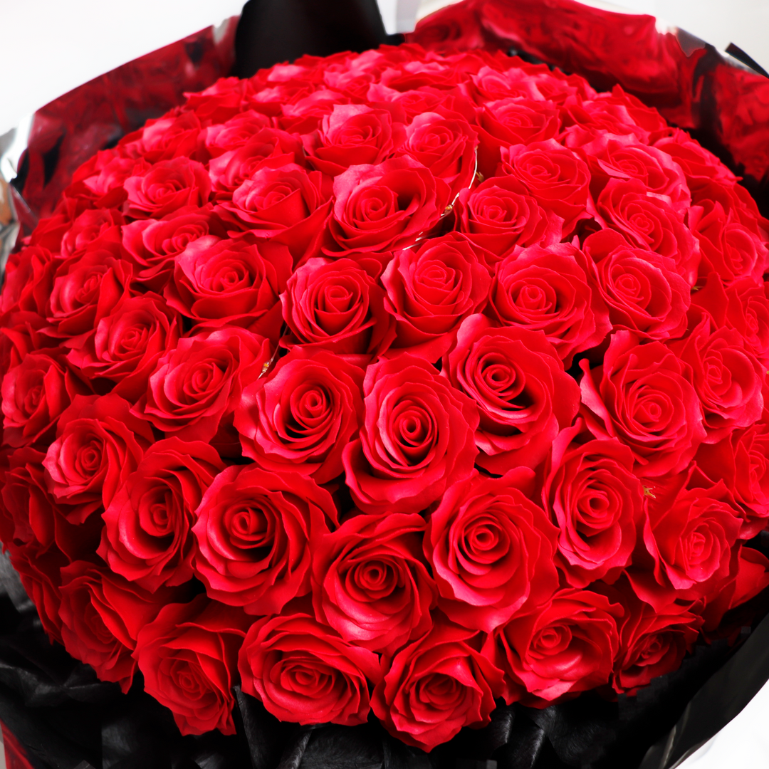 MG_3274_1080x.png?v=1731056311 MG_3274_1080x.png?v=1731056311