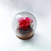 【観賞用ソープフラワー:rafulu】ガラスオーブドーム（全4種）