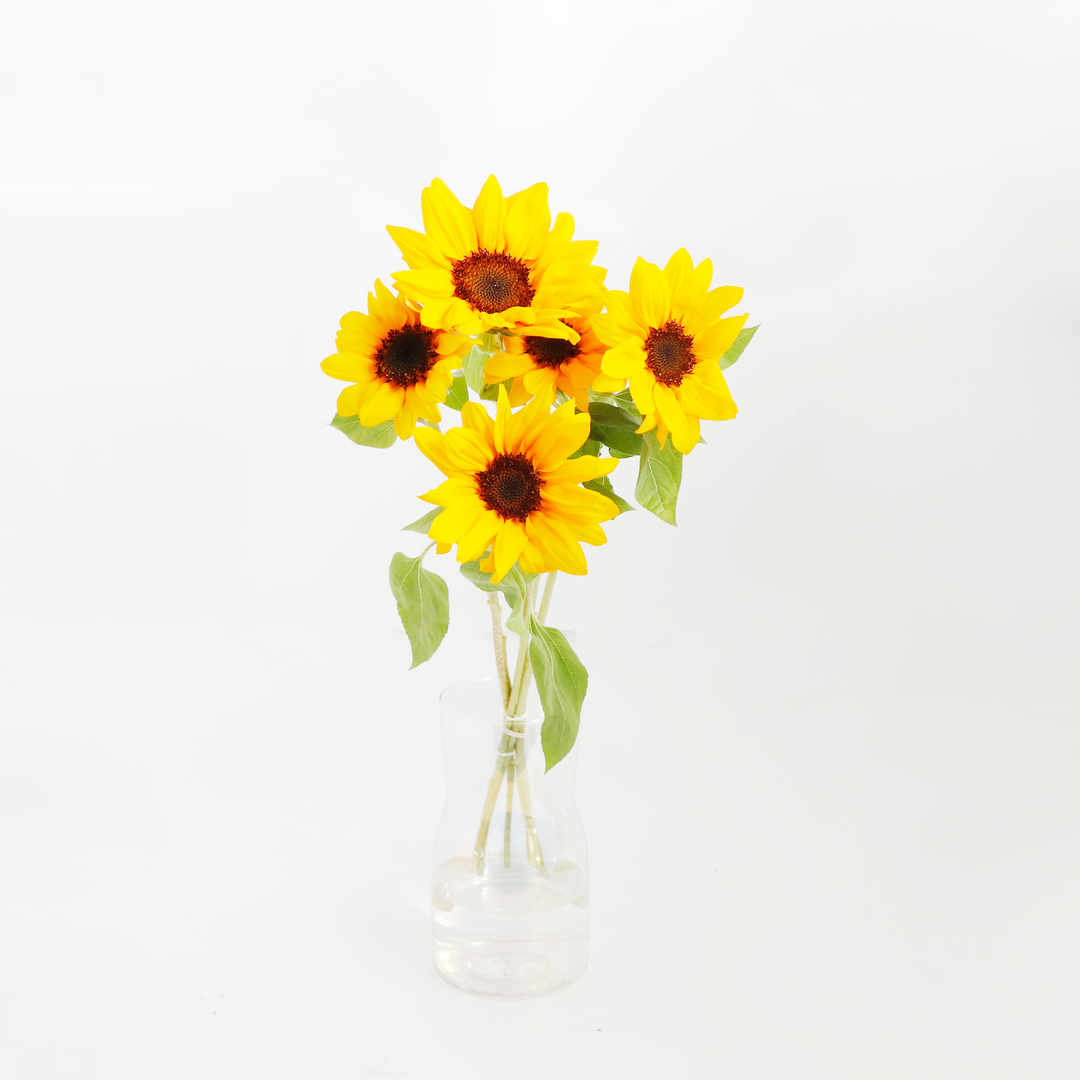 該当日お届けのみ>【生花】週替わりご自宅用切花5本セット