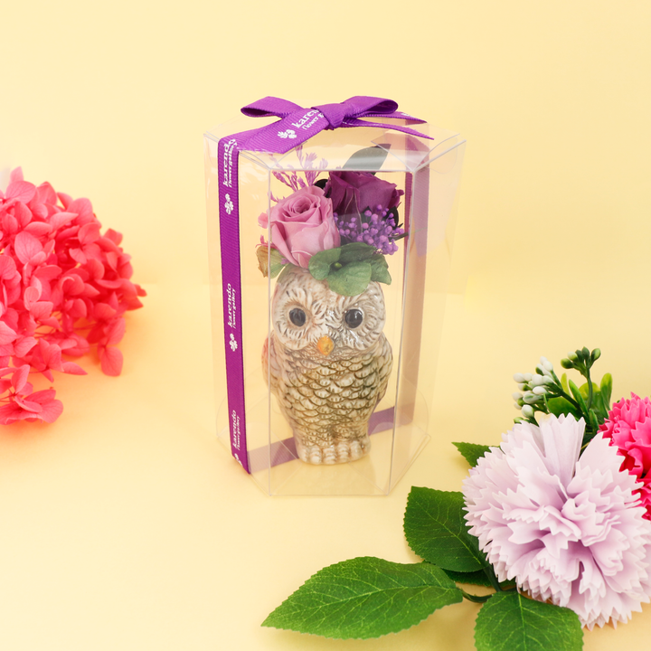 MG_5434_720x.png?v=1755610090 MG_5434_720x.png?v=1755610090