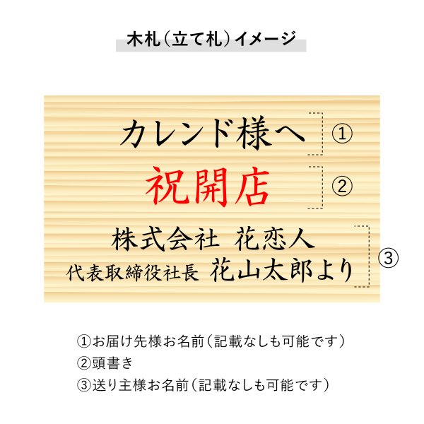 祝花/鉢植え】観葉植物 - パキラ 10号 – karendo online shop