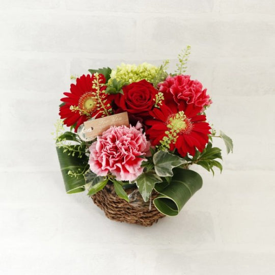 【生花】アレンジメント（レッド）