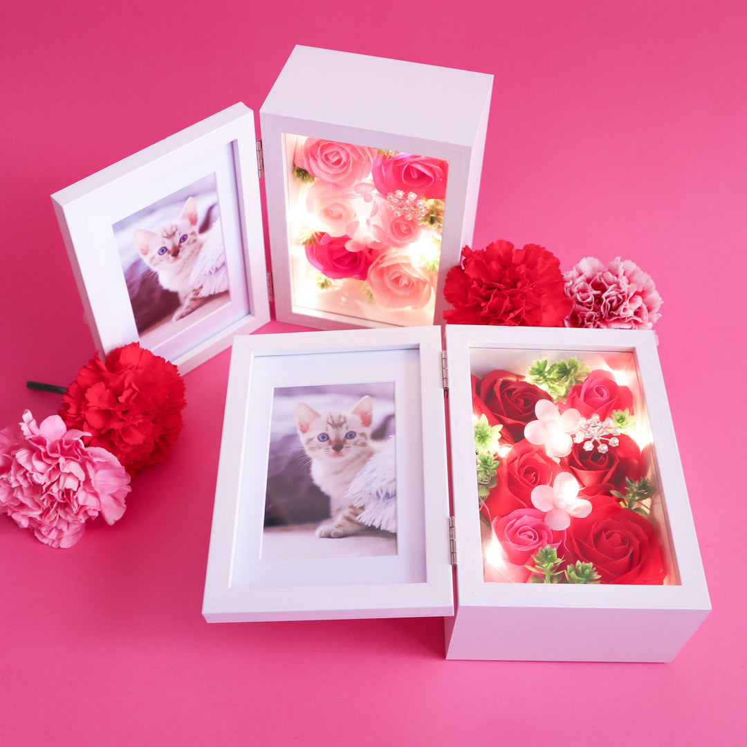 IMG_2454_1080x.jpg?v=1680233703